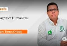 Magnífica