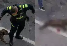 Policía