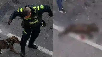 Policía