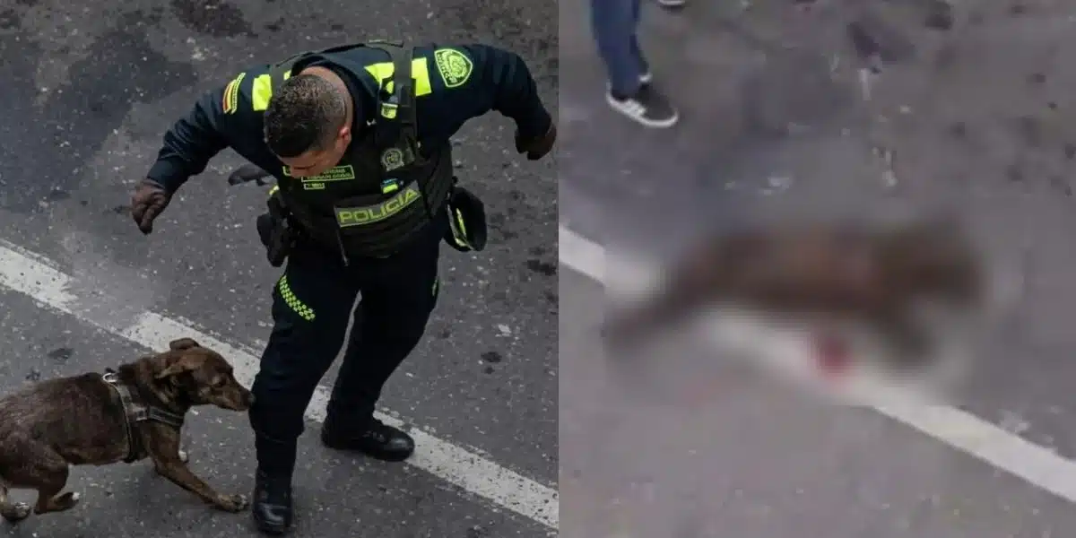 Policía