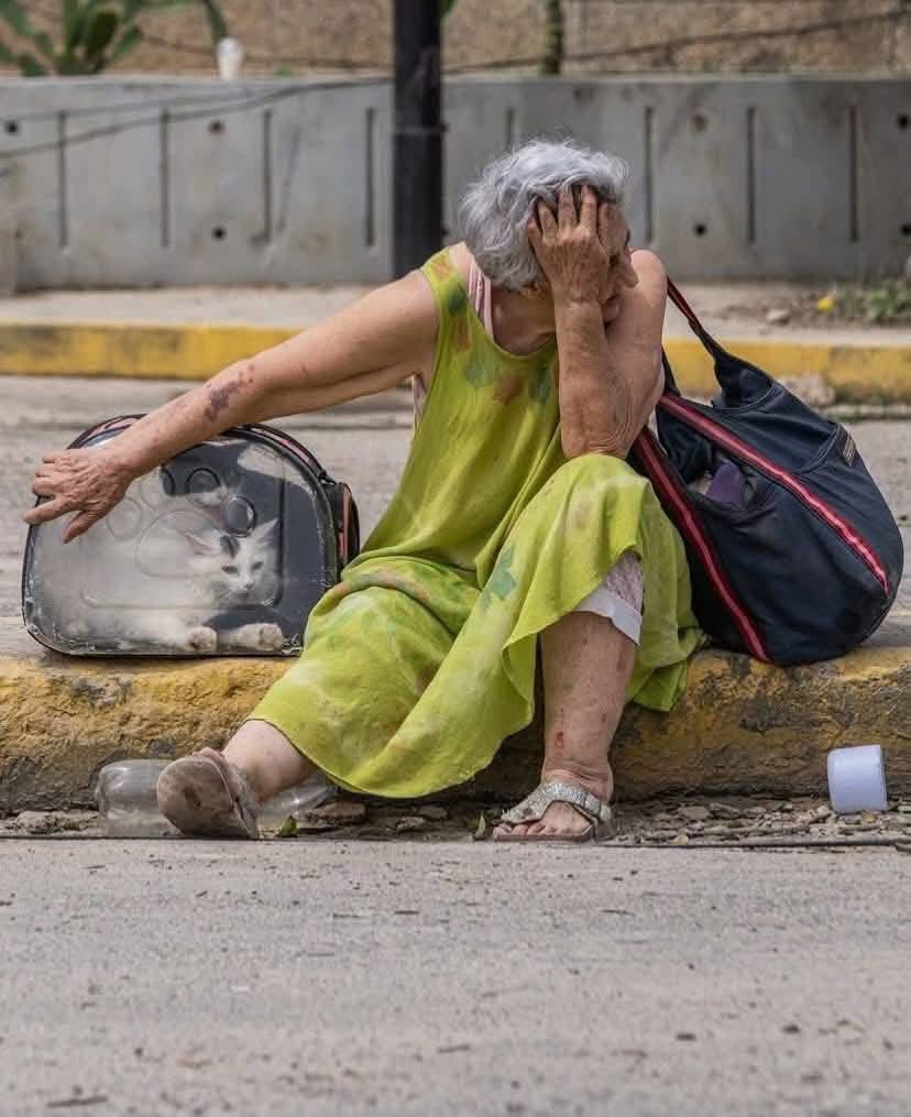 desaparecidos
