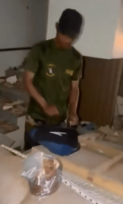 damnificados