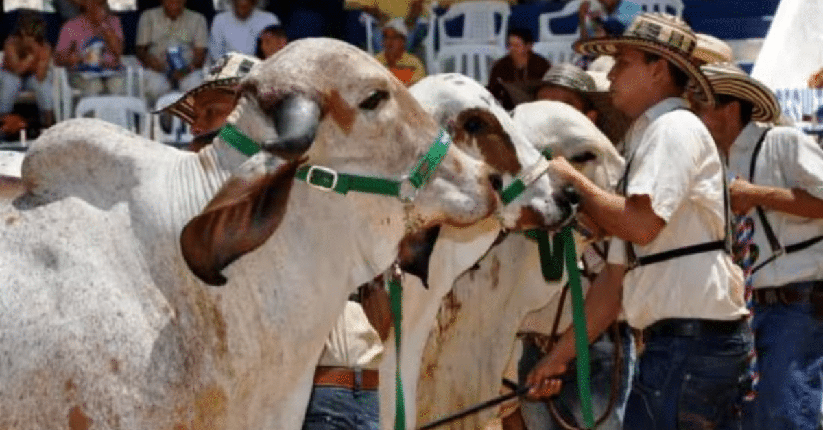 Juzgamiento