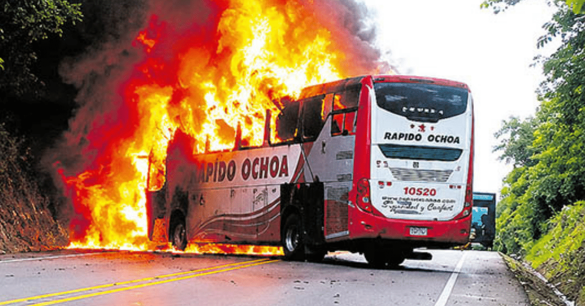 bus