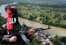 ELN