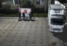 coca