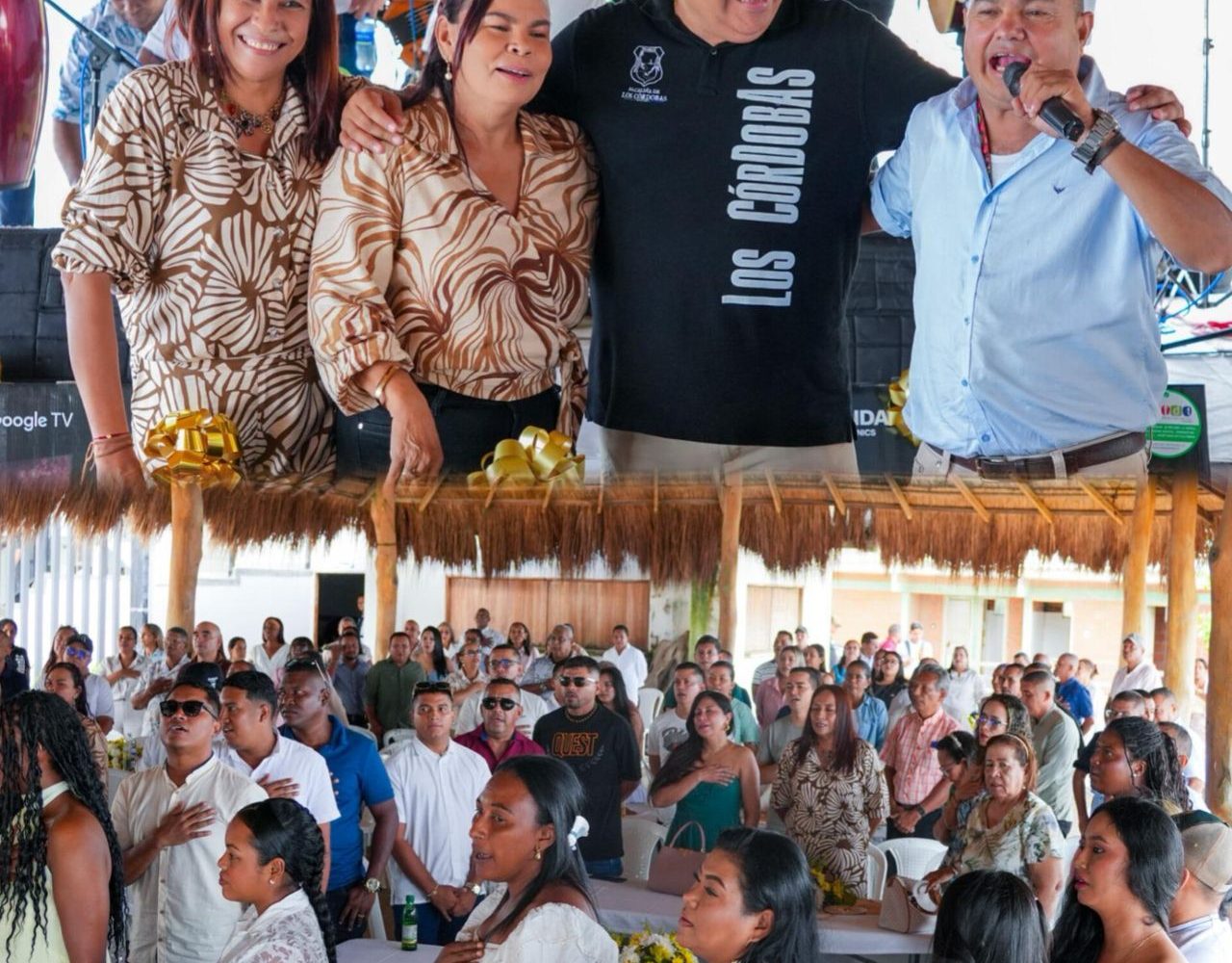 docentes