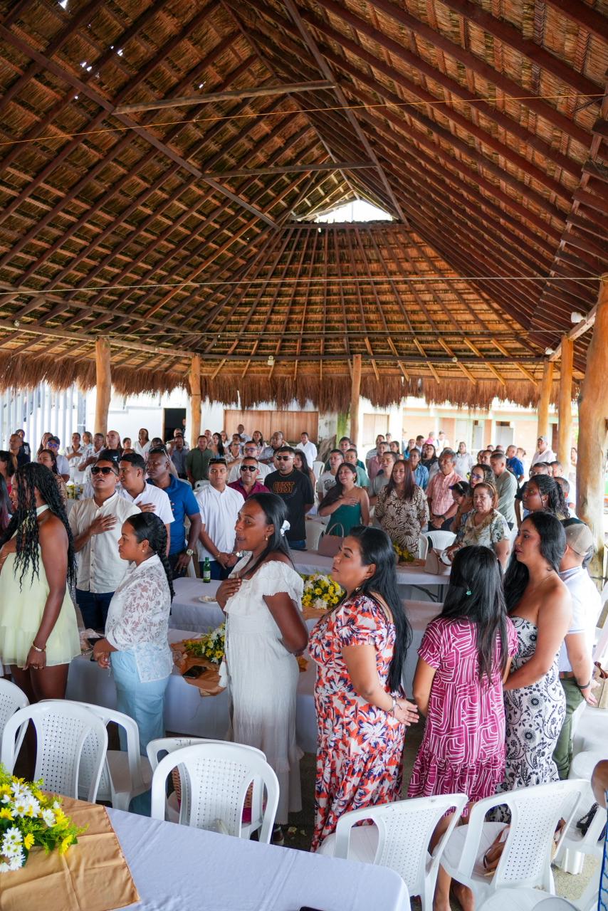 docentes