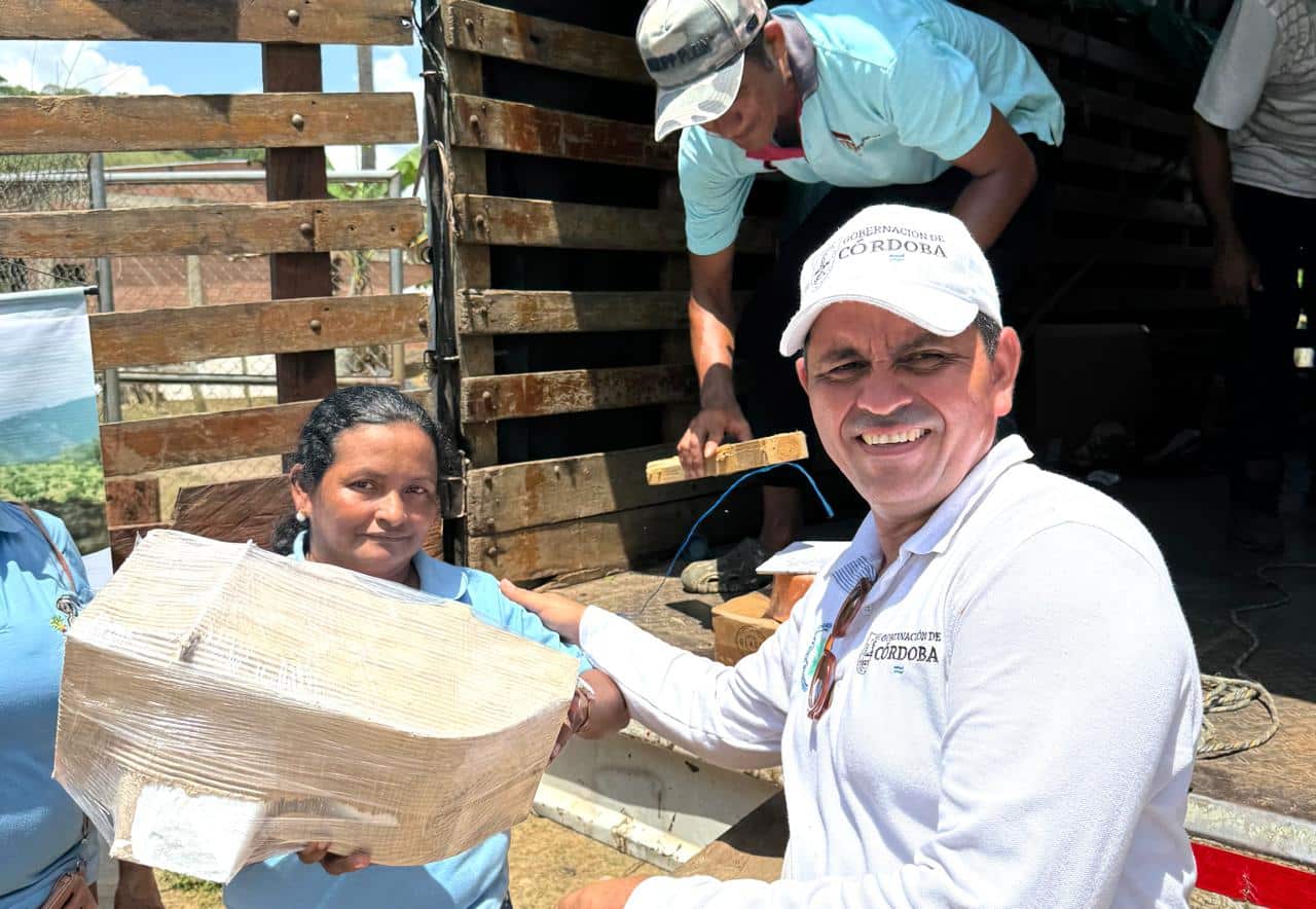 Mujeres