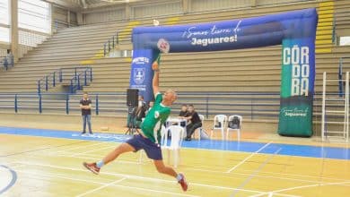 torneo