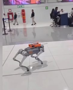 aeropuerto