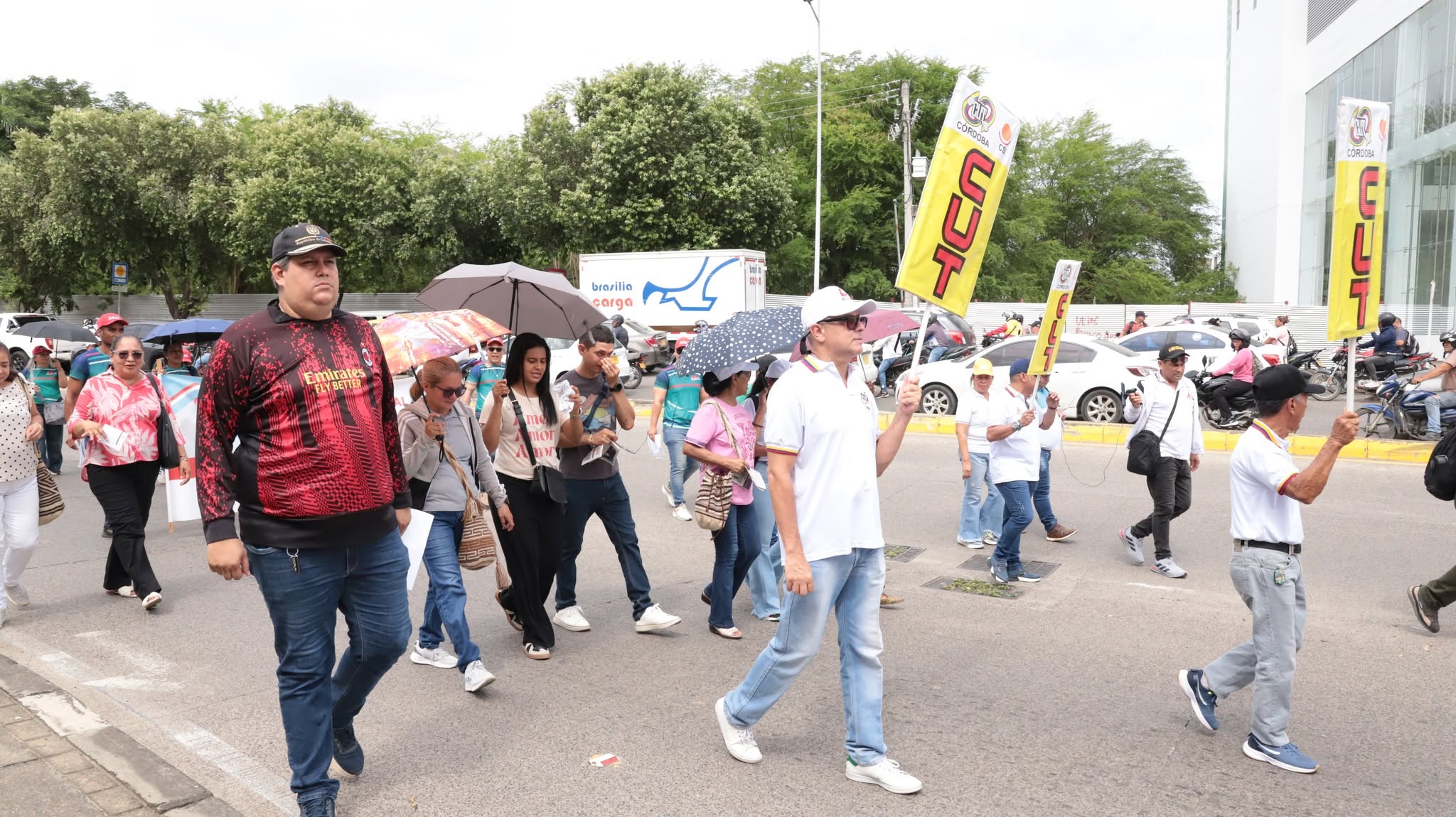 Docentes