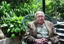 Plinio