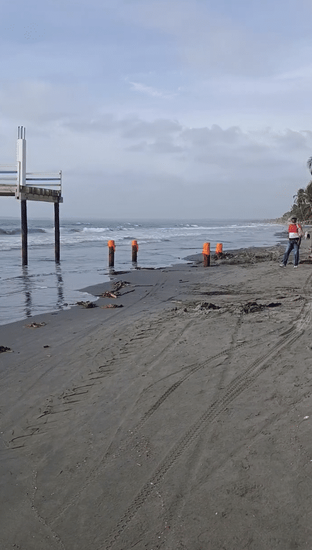 muelle