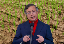 Gobierno