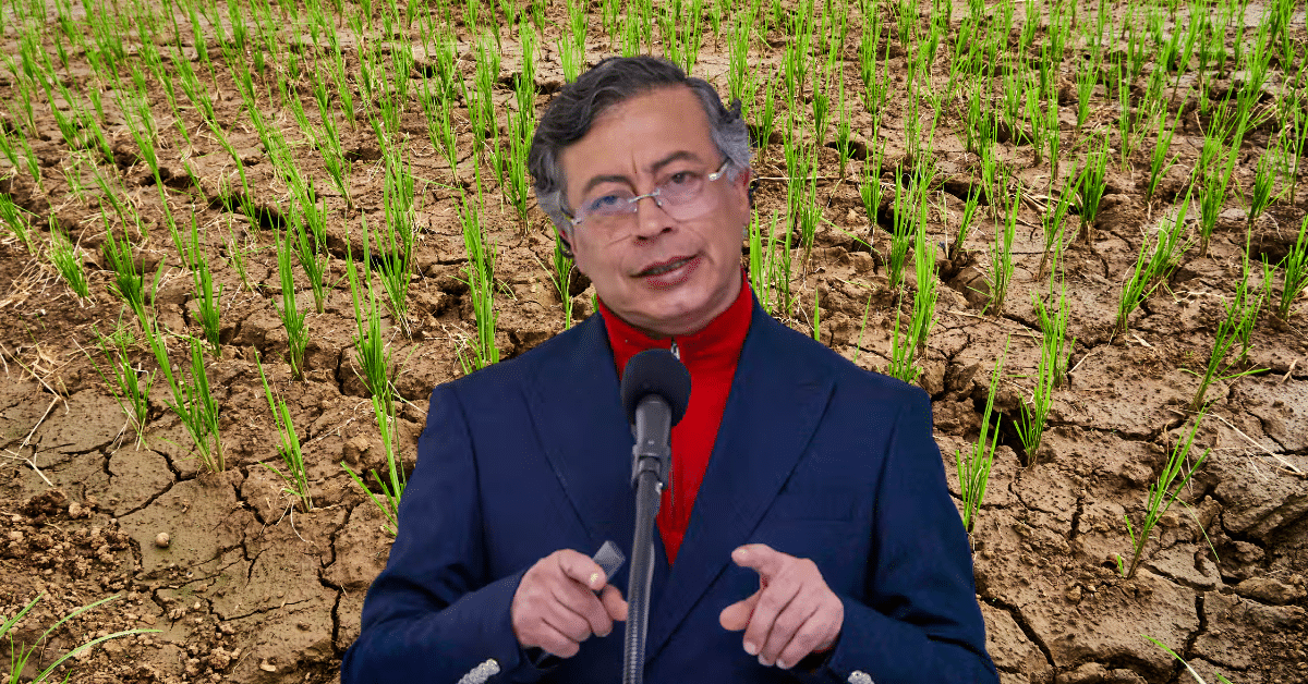 Gobierno