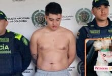 Joven Maltrato animal a Perrita
