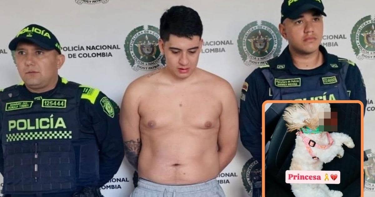 Joven Maltrato animal a Perrita