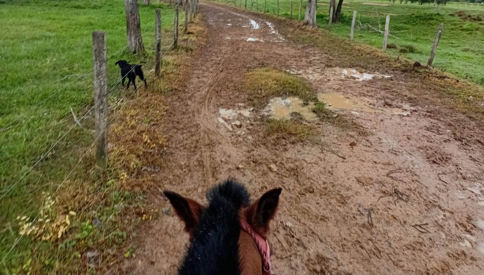 vías