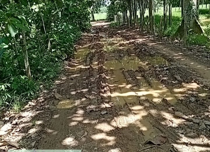vías