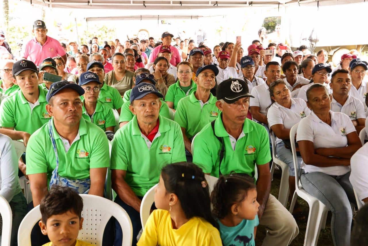 gobernador