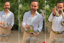 Abelardo De La Espriella y una serpiente