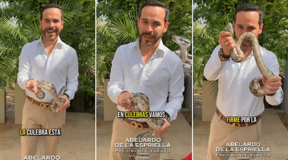 Abelardo De La Espriella y una serpiente
