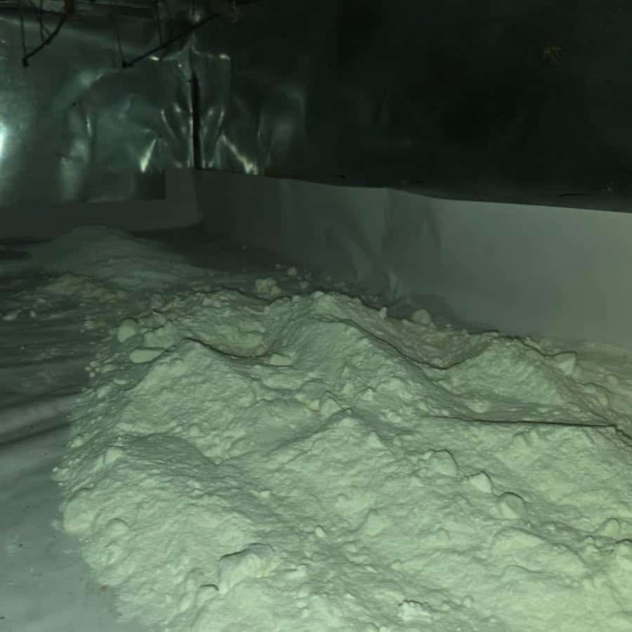 cocaína