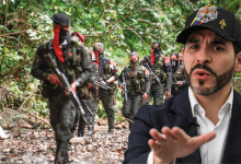 Abelardo