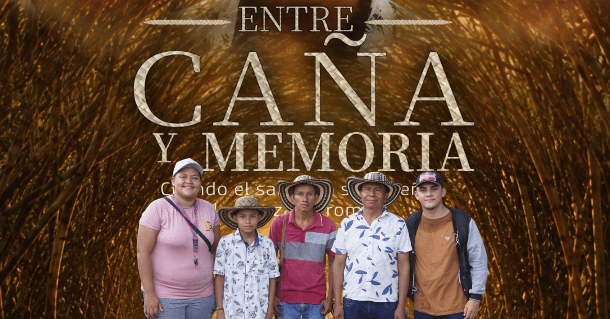 caña