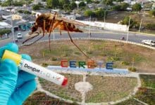dengue