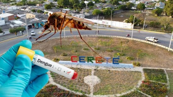 dengue