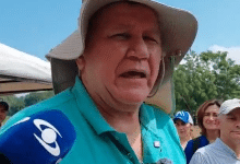 Forraje Milagro