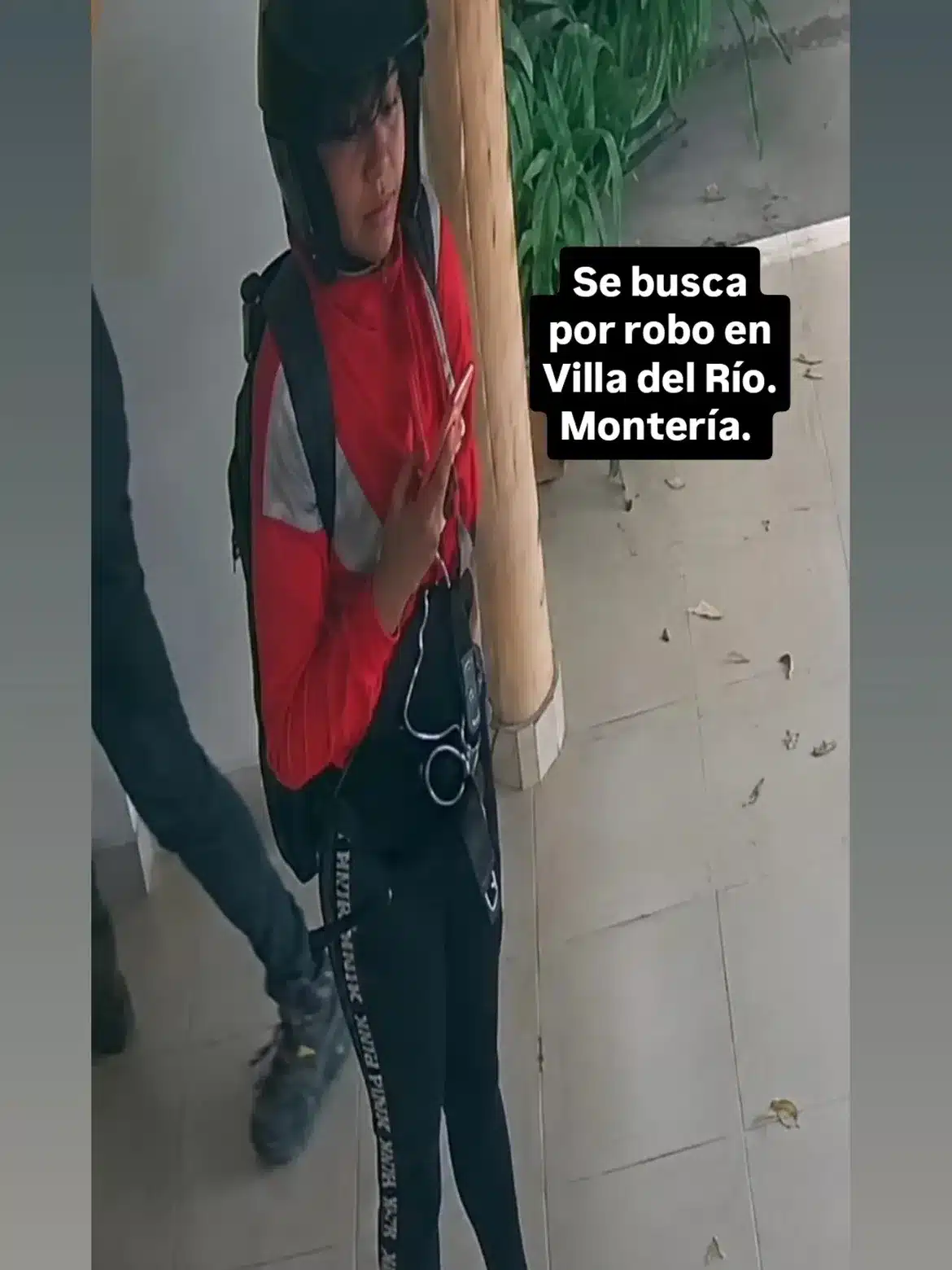 robo