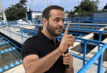 gobernador