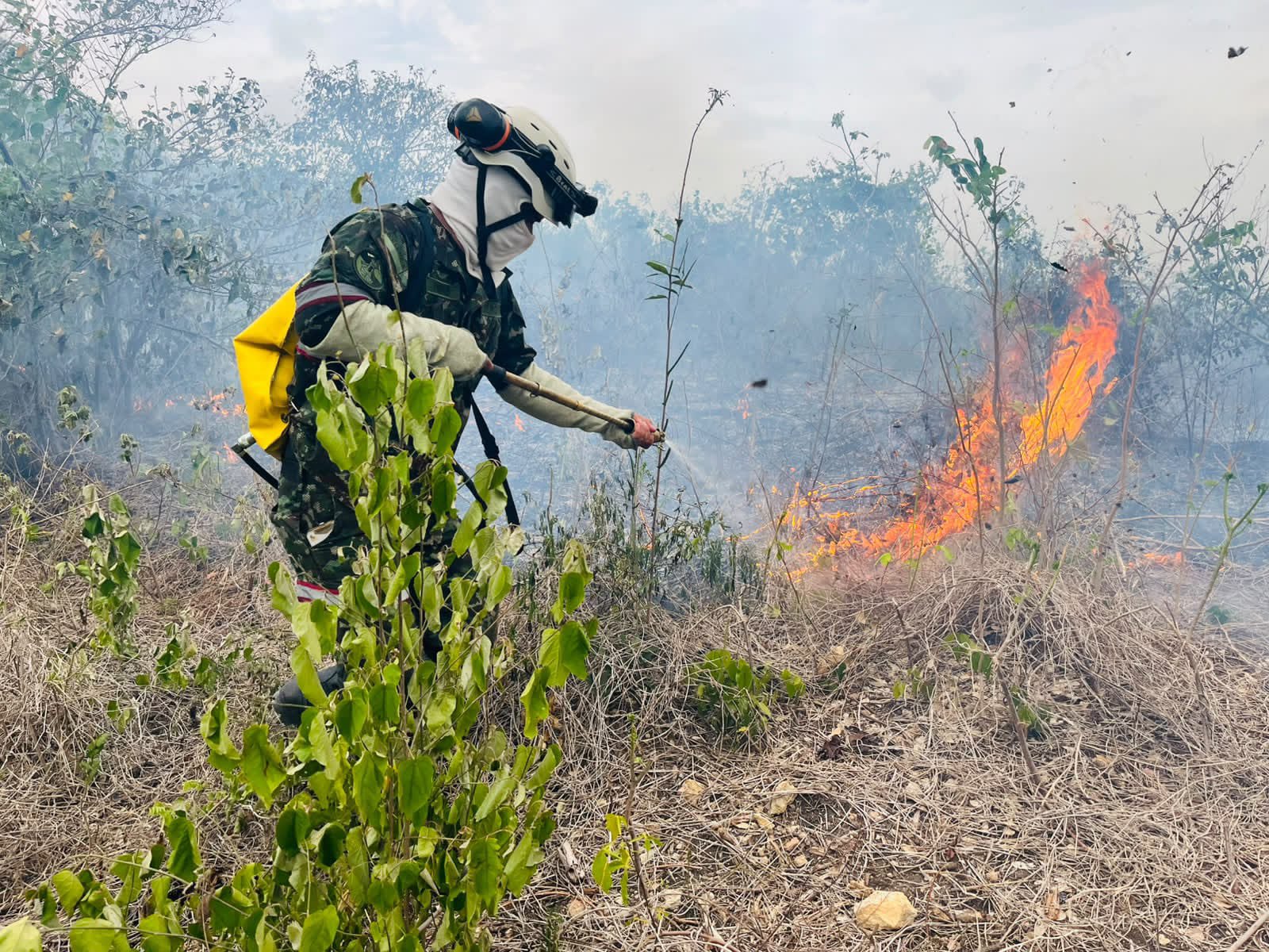 incendio