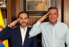 Senado