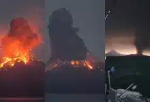 anak krakatau