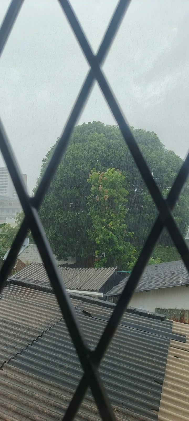 lluvias