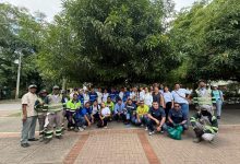 parque