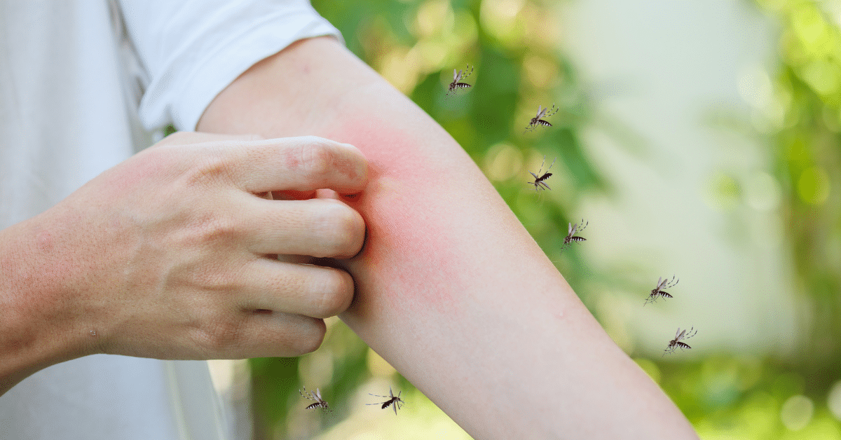 dengue