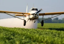 Créditos de foto: Aspersión aérea. Universidad de La Guajira.