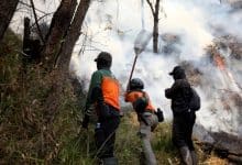 incendios