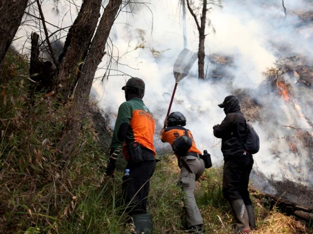 incendios