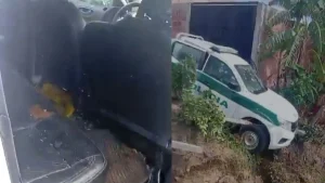 policias