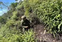 soldado