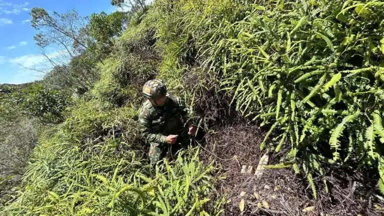 soldado