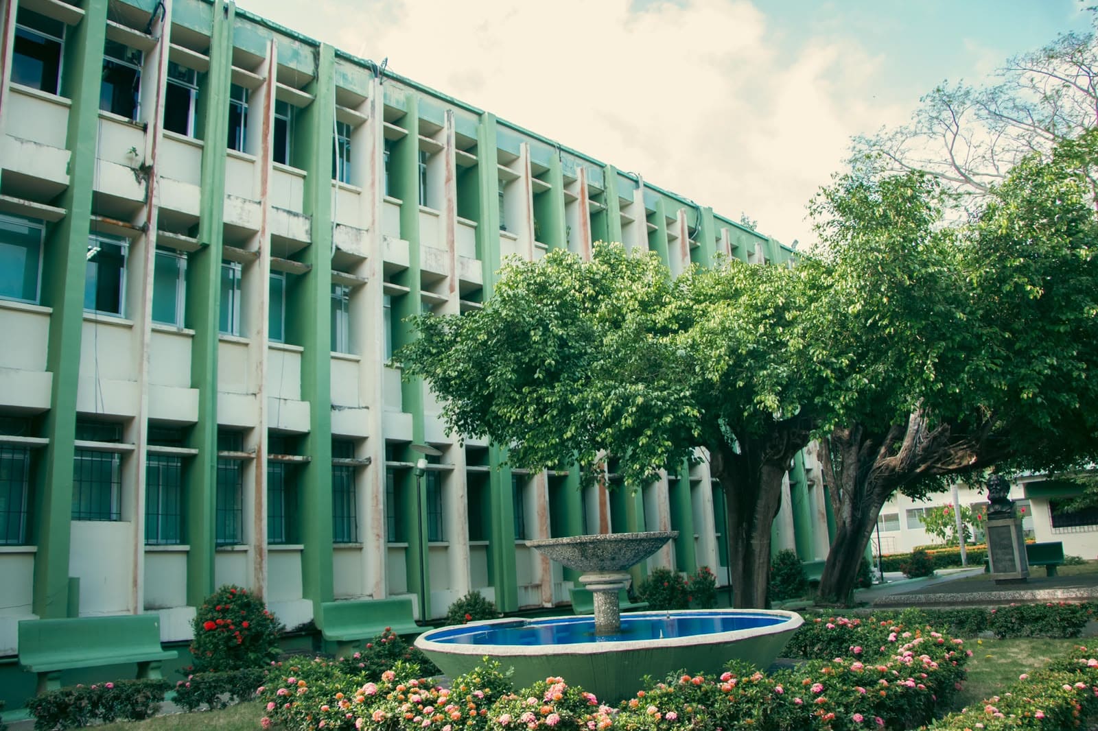egresados