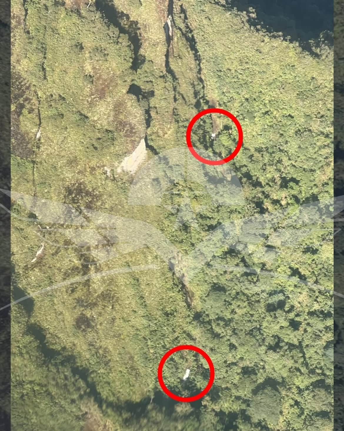 Fuerza Aérea