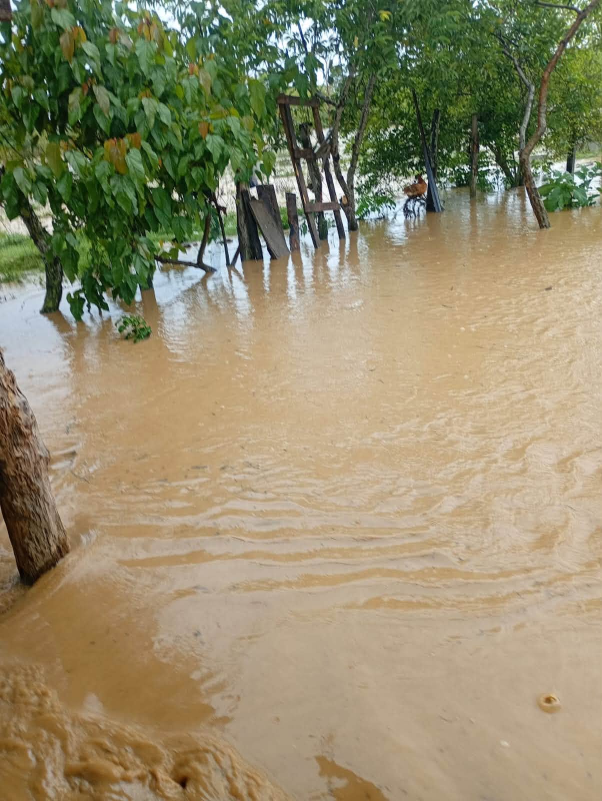 Inundaciones